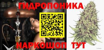 PSILOCYBIN Краснознаменск