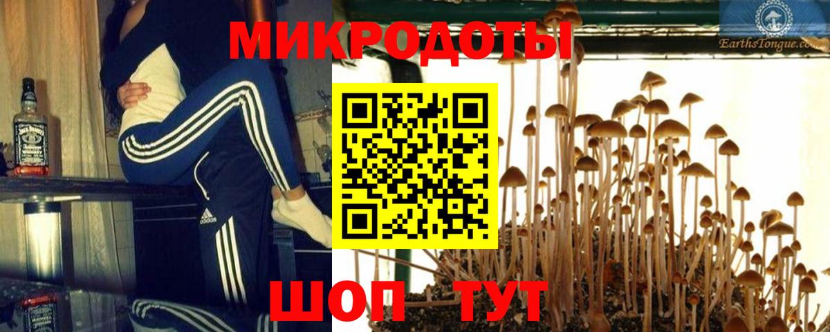 Галлюциногенные грибы MAGIC MUSHROOMS  Вход с VPN  Гусев 